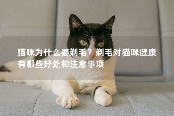 猫咪为什么要剃毛？剃毛对猫咪健康有哪些好处和注意事项