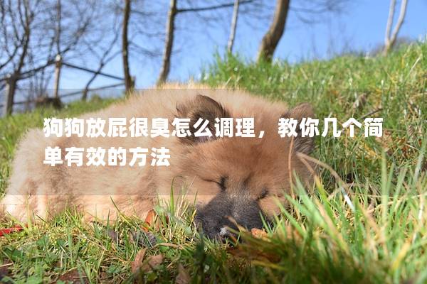 狗狗放屁很臭怎么调理，教你几个简单有效的方法