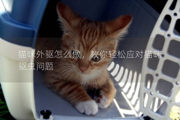 猫咪外驱怎么做，教你轻松应对猫咪驱虫问题