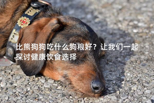 比熊狗狗吃什么狗粮好？让我们一起探讨健康饮食选择