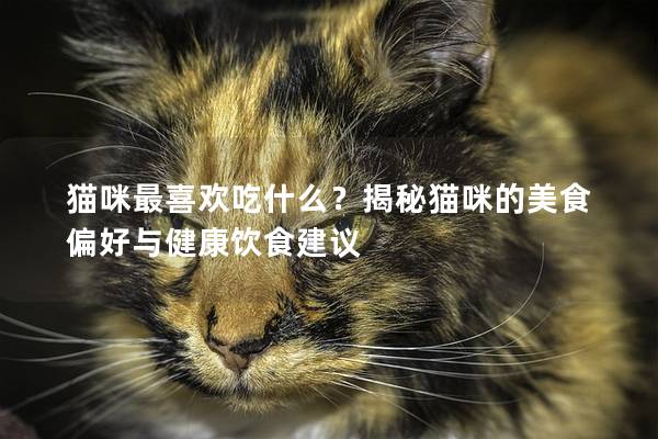 猫咪最喜欢吃什么？揭秘猫咪的美食偏好与健康饮食建议