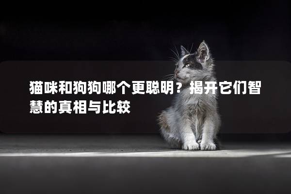 猫咪和狗狗哪个更聪明？揭开它们智慧的真相与比较