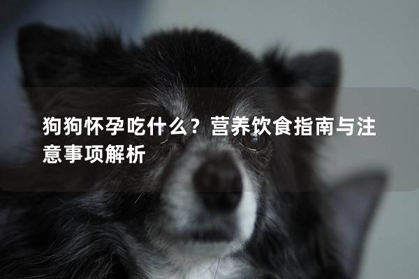 狗狗怀孕吃什么？营养饮食指南与注意事项解析