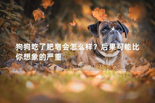 狗狗吃了肥皂会怎么样？后果可能比你想象的严重