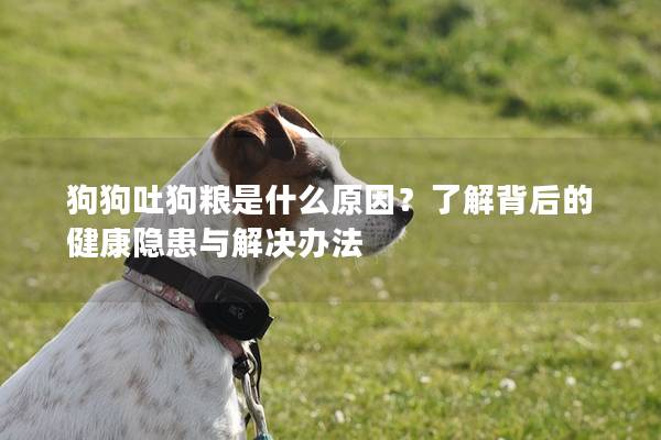 狗狗吐狗粮是什么原因？了解背后的健康隐患与解决办法