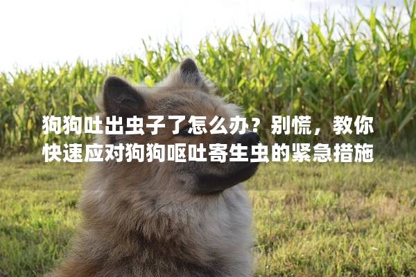 狗狗吐出虫子了怎么办？别慌，教你快速应对狗狗呕吐寄生虫的紧急措施