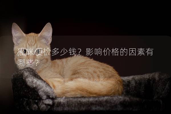 猫咪便检多少钱？影响价格的因素有哪些？
