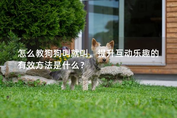 怎么教狗狗叫就叫，提升互动乐趣的有效方法是什么？