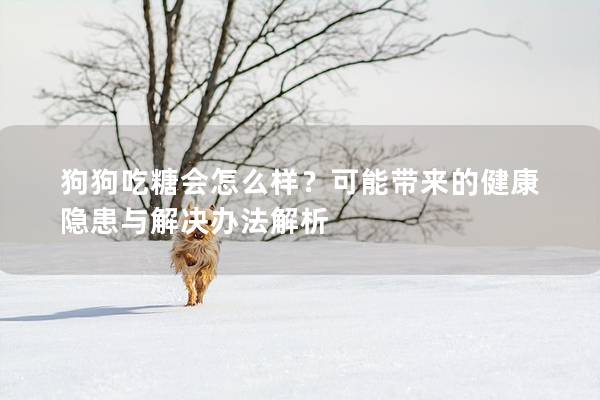 狗狗吃糖会怎么样？可能带来的健康隐患与解决办法解析