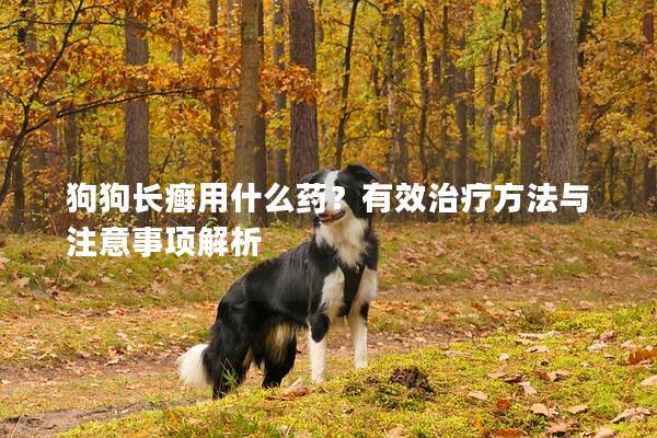 狗狗长癣用什么药？有效治疗方法与注意事项解析