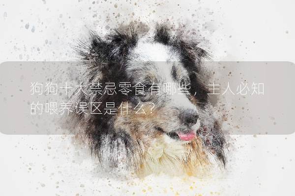 狗狗十大禁忌零食有哪些，主人必知的喂养误区是什么？