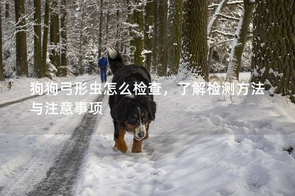 狗狗弓形虫怎么检查，了解检测方法与注意事项