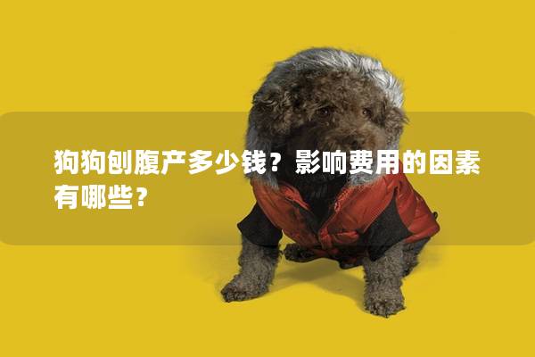 狗狗刨腹产多少钱？影响费用的因素有哪些？