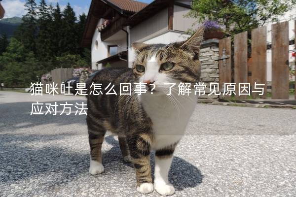 猫咪吐是怎么回事？了解常见原因与应对方法