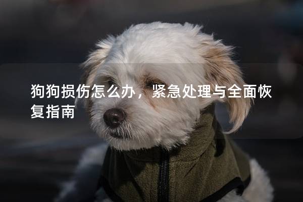 狗狗损伤怎么办，紧急处理与全面恢复指南