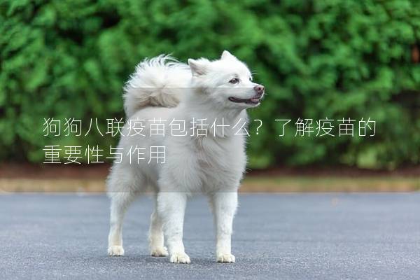 狗狗八联疫苗包括什么？了解疫苗的重要性与作用
