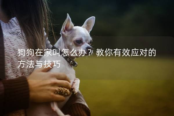 狗狗在家叫怎么办？教你有效应对的方法与技巧