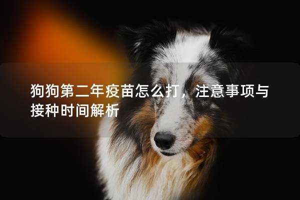 狗狗第二年疫苗怎么打，注意事项与接种时间解析