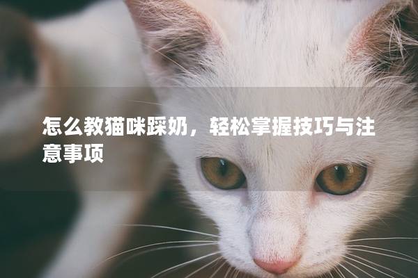 怎么教猫咪踩奶，轻松掌握技巧与注意事项