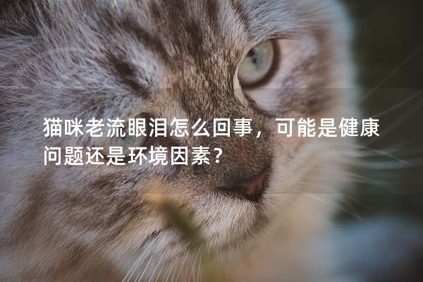 猫咪老流眼泪怎么回事，可能是健康问题还是环境因素？