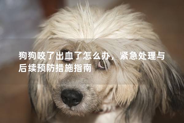 狗狗咬了出血了怎么办，紧急处理与后续预防措施指南