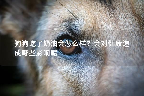 狗狗吃了奶油会怎么样？会对健康造成哪些影响呢