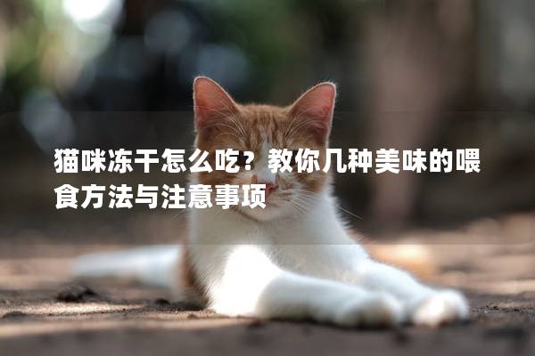 猫咪冻干怎么吃？教你几种美味的喂食方法与注意事项