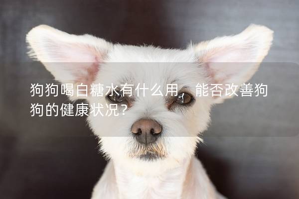 狗狗喝白糖水有什么用，能否改善狗狗的健康状况？