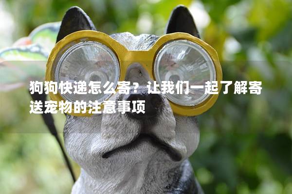 狗狗快递怎么寄？让我们一起了解寄送宠物的注意事项