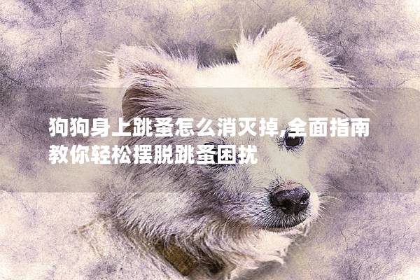 狗狗身上跳蚤怎么消灭掉,全面指南教你轻松摆脱跳蚤困扰