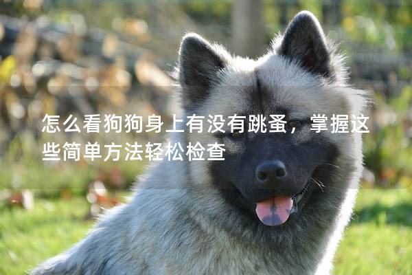 怎么看狗狗身上有没有跳蚤，掌握这些简单方法轻松检查