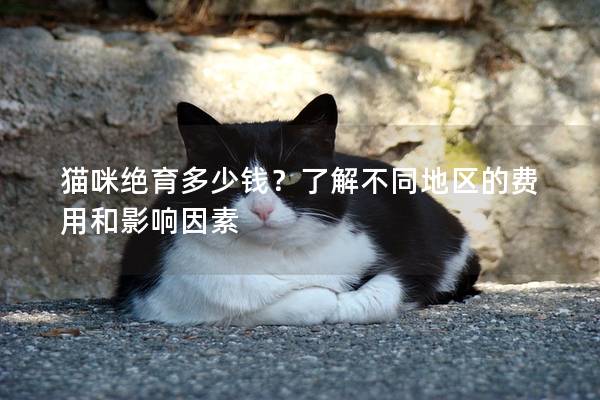 猫咪绝育多少钱？了解不同地区的费用和影响因素