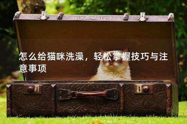 怎么给猫咪洗澡，轻松掌握技巧与注意事项