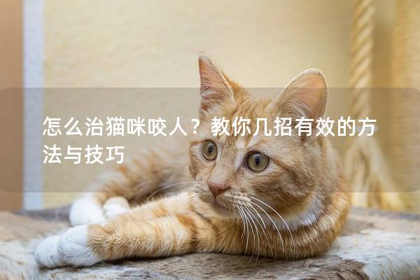 怎么治猫咪咬人？教你几招有效的方法与技巧