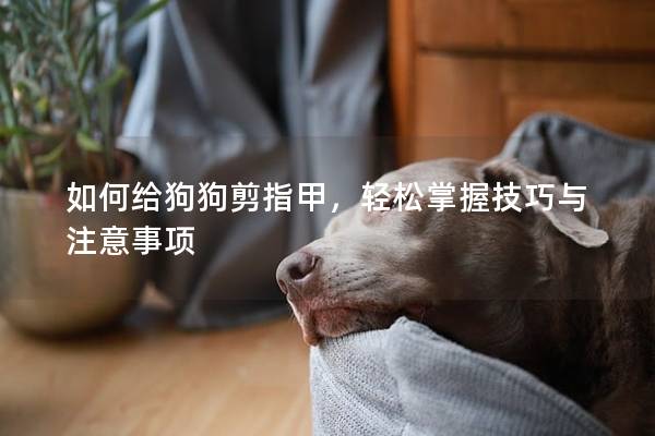 如何给狗狗剪指甲，轻松掌握技巧与注意事项
