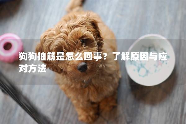 狗狗抽筋是怎么回事？了解原因与应对方法