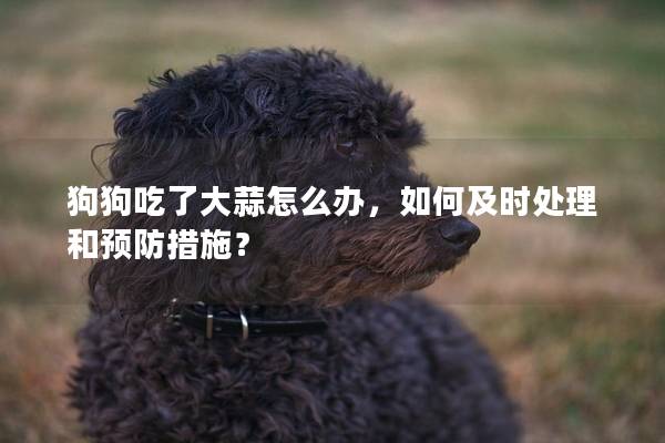 狗狗吃了大蒜怎么办，如何及时处理和预防措施？