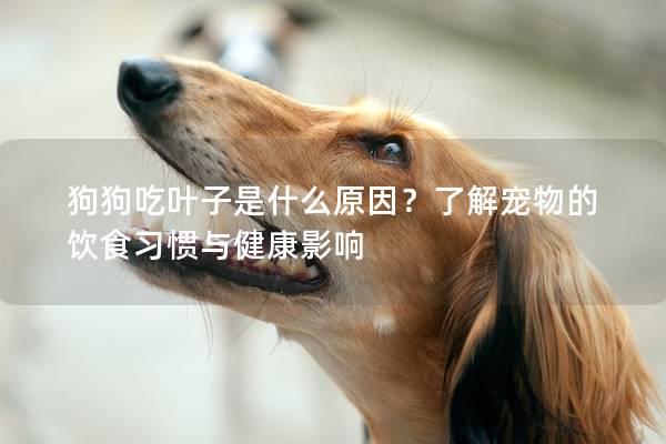 狗狗吃叶子是什么原因？了解宠物的饮食习惯与健康影响