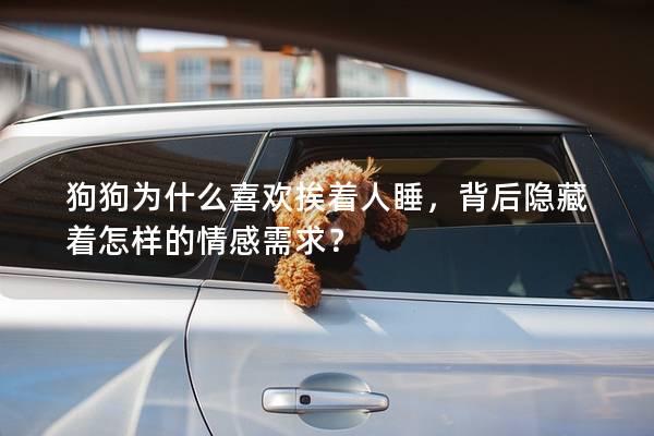 狗狗为什么喜欢挨着人睡，背后隐藏着怎样的情感需求？