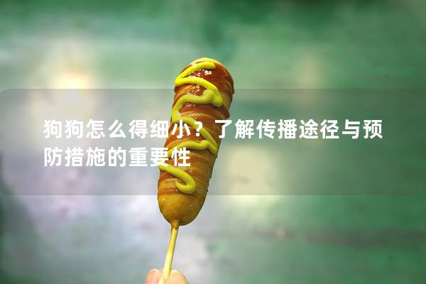 狗狗怎么得细小？了解传播途径与预防措施的重要性