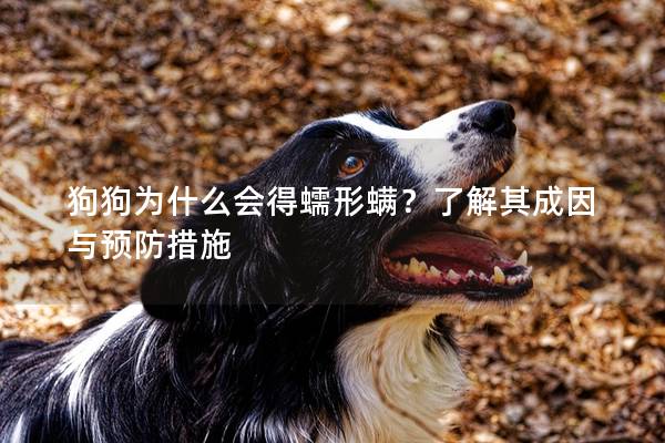 狗狗为什么会得蠕形螨？了解其成因与预防措施