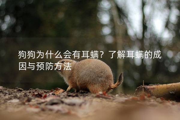 狗狗为什么会有耳螨？了解耳螨的成因与预防方法