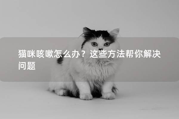 猫咪咳嗽怎么办？这些方法帮你解决问题