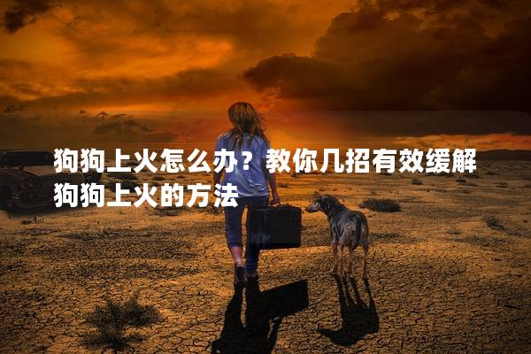 狗狗上火怎么办？教你几招有效缓解狗狗上火的方法