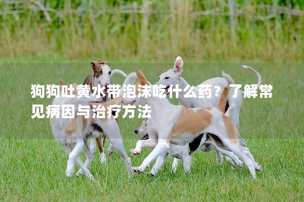 狗狗吐黄水带泡沫吃什么药？了解常见病因与治疗方法