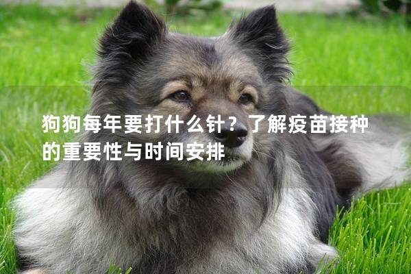 狗狗每年要打什么针？了解疫苗接种的重要性与时间安排