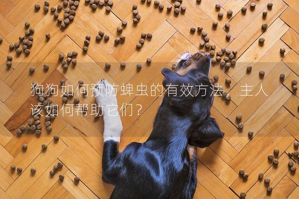 狗狗如何预防蜱虫的有效方法，主人该如何帮助它们？