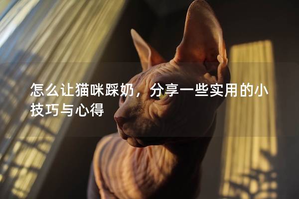 怎么让猫咪踩奶，分享一些实用的小技巧与心得