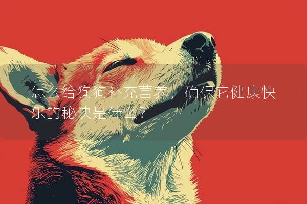 怎么给狗狗补充营养，确保它健康快乐的秘诀是什么？