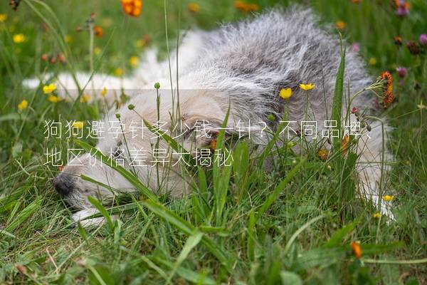 狗狗避孕针多少钱一针？不同品牌、地区价格差异大揭秘
